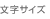 文字サイズ
