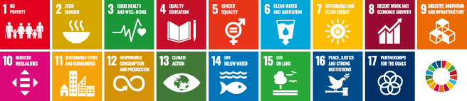 SDGs ICON